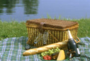 parks and recreation lake picnic e1584718744867