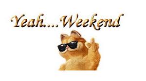 weekend with cat