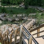 West Beach Succession Trail Hike - Indiana Dunes