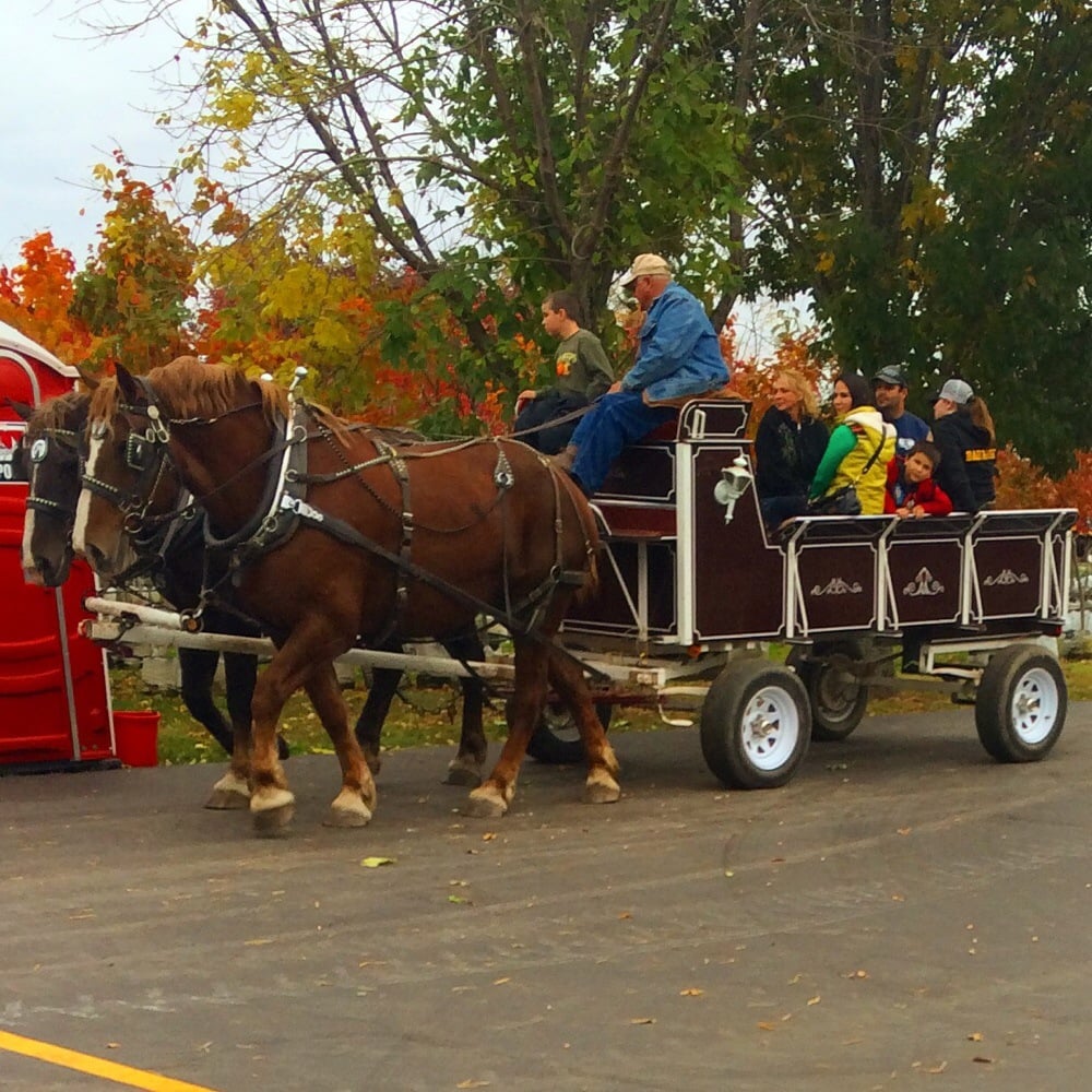 Trunk or Treats in Northwest Indiana 51 Fall Festival at Windy Ridge Farms Valparaiso Indiana