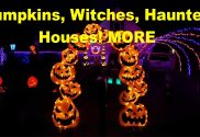 this weeks newsletter halloween haunted houses things to do e1790006467320