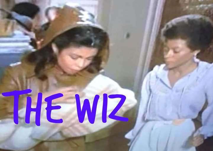 45th Anniversary of the Wiz With Free Show at Dean And Barbara White Community Center 42 wiz actress Mariann Aalda from chicago illinois