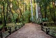 Outdoor Adventures in Northwest Indiana Top five Hiking and Biking Trails for Students