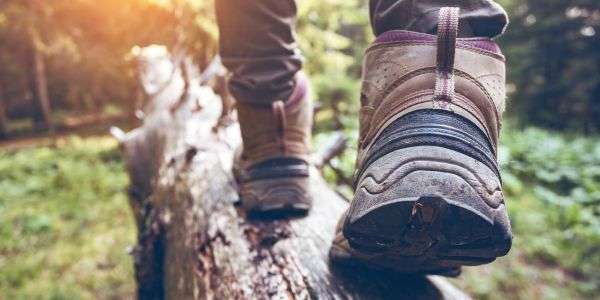 How To Prevent Fresh Food From Spoiling on Off-Roading Trips 3 How To Find the Best Hiking Spot Wherever You Go