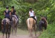 Hidden Dangers of the Horseback Riding Trail