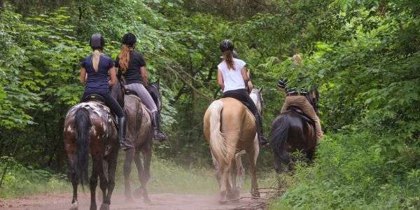 Hidden Dangers of the Horseback Riding Trail 1 Hidden Dangers of the Horseback Riding Trail