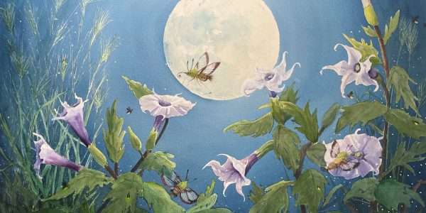 Pollinators Plants Featured at Art Barn Exhibit Thru Sept. 27th