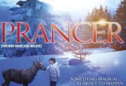 Prancerpalooza coming to laporte indiana civic center prancer the movie e1732300081585