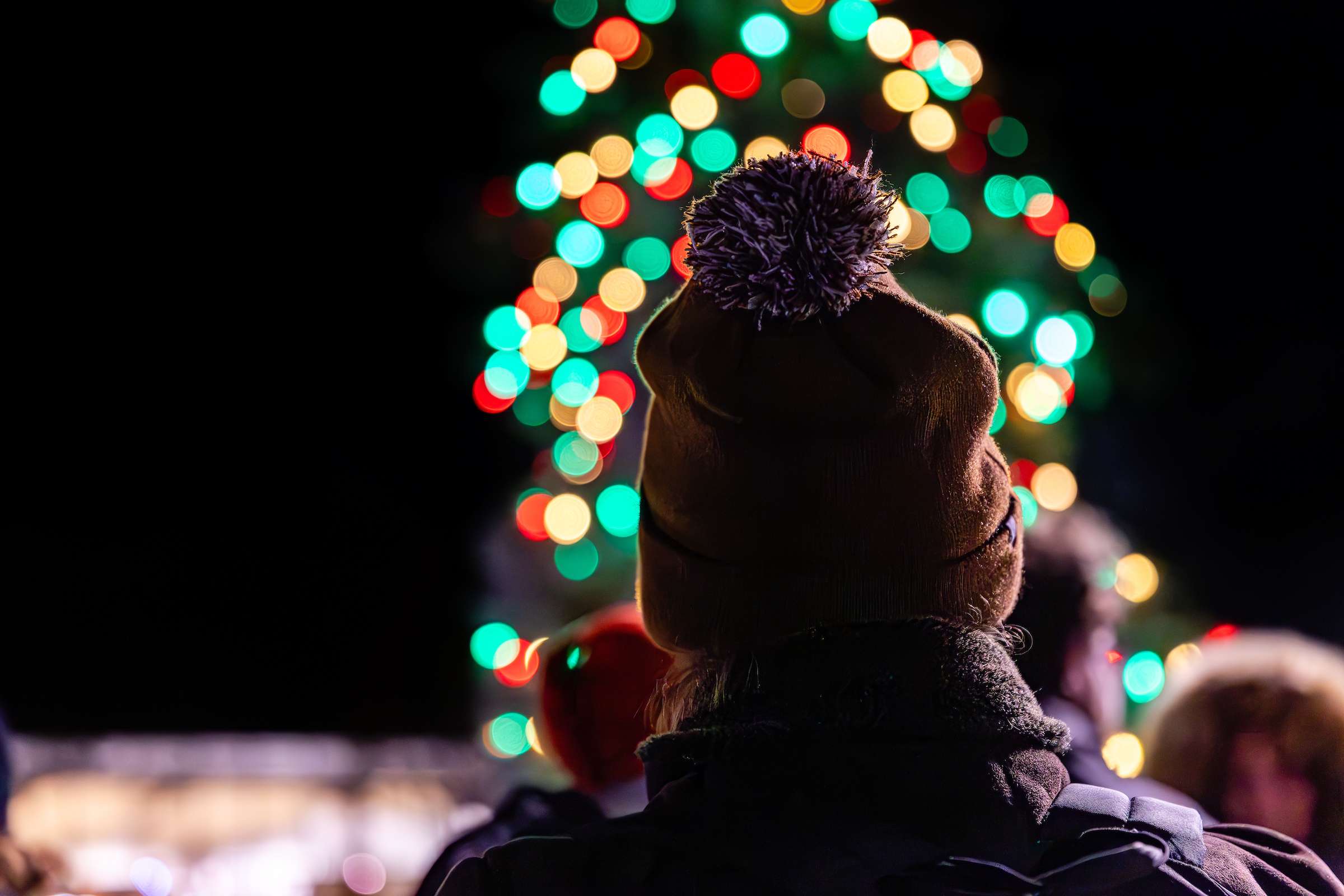 Lake Station Tree Lighting