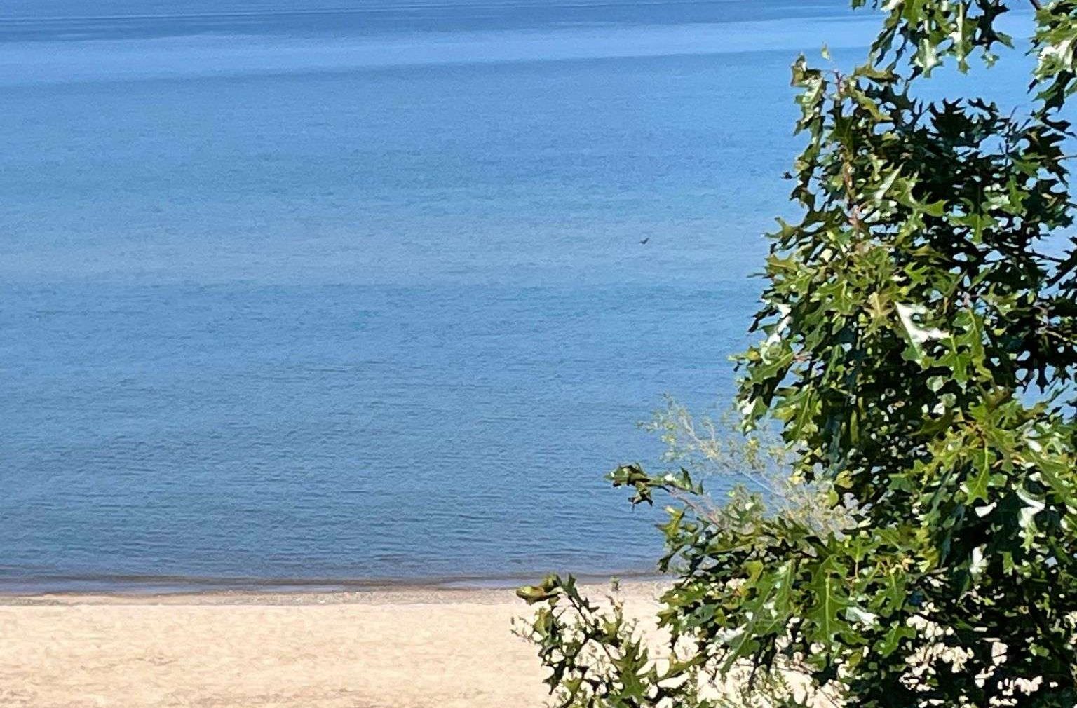 Catch a Roving Ranger on the Indiana Dunes Beach This Summer 46 indiana dunes national park beverly shores panoramanow e1748549349219