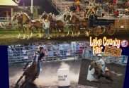 lake county fair gears up for all breed classis horse competitions