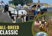 Lake County Fair All Breed Classic Horse Show Deadline cropped crown point e1748548435285