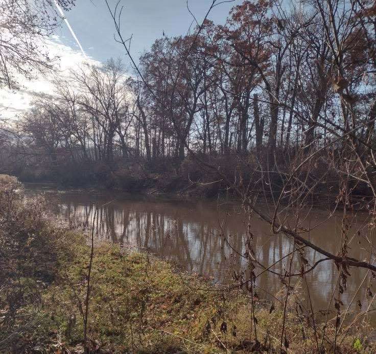 Hobart In Lake County Indiana is Known for it's Biodiversity and Wetland Ecosystems 106 deep river wetlands in hobart indiana next to the data center eagles e1763739566798