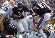 chicago bears