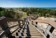 Indiana Dunes succession trail to be replaced