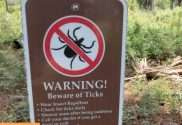 TICK Invitation and prevention when outdoors activities hiking indiana dunes