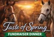 taste of spring exceptional equestrians eeunwi merrillville indiana