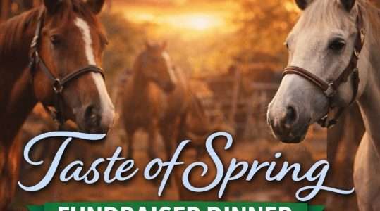 Taste of Spring Fundraiser for EEUNWI 5 taste of spring exceptional equestrians eeunwi merrillville indiana