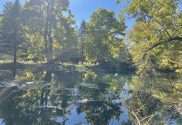 landscape pond 2