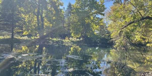 Indiana Dunes National Park's Mount Baldy Sand Project Completed 23 landscape pond 2